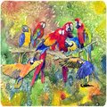 Carolines Treasures Bird - Parrot Foam Coasters - Set of 4- 3.5 x 3.5 In. 8600-2FC